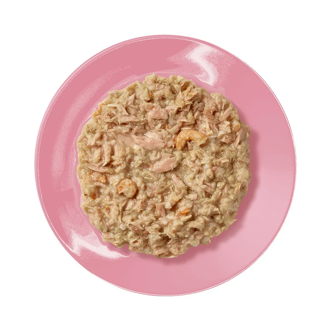 APPLAWS Tuna Fillet with prawn in broth - šlapias kačių maistas - 70g