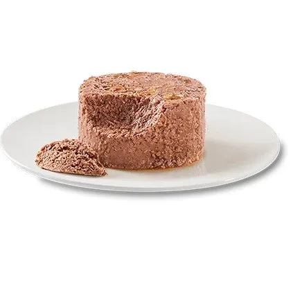 OASY Caprice Mousse Salmon - šlapias kačių maistas - 85g