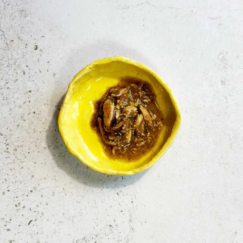 OLLO Cat nr 8 Tuna & Seaweed in broth - šlapias kačių maistas - 70g