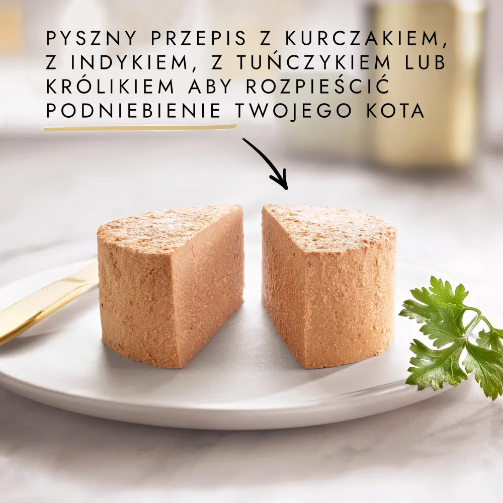 PURINA Gourmet Gold Mousse - šlapias kačių maistas - 48x85g