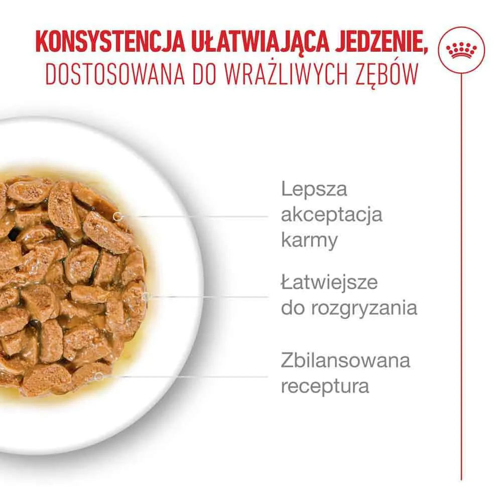 ROYAL CANIN Ageing 11+ Chunks in gravy - šlapias kačių maistas - 12x85g