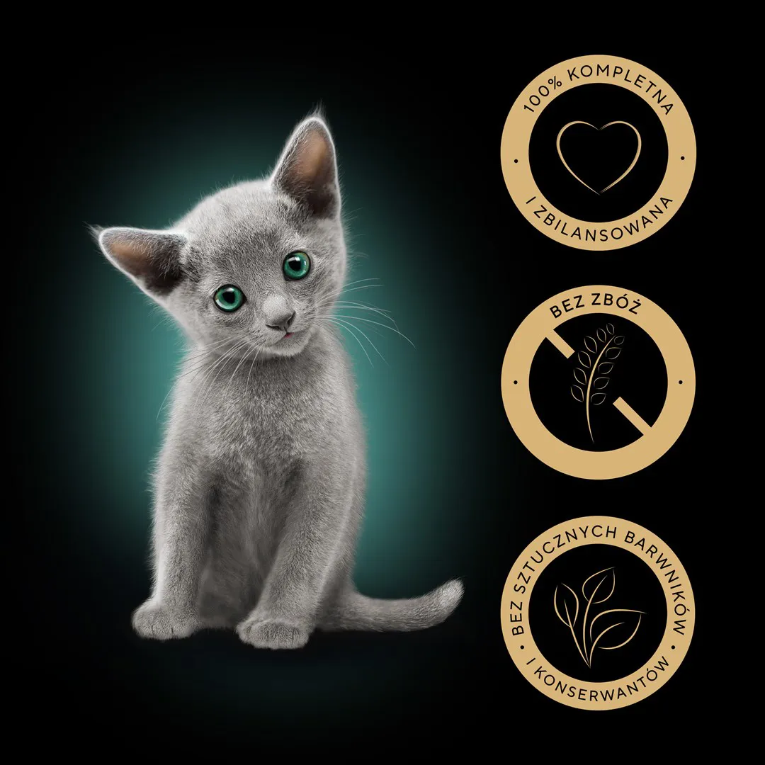 SHEBA Kitten skonių pasirinkimas padaže - šlapias kačių maistas - 40x85 g