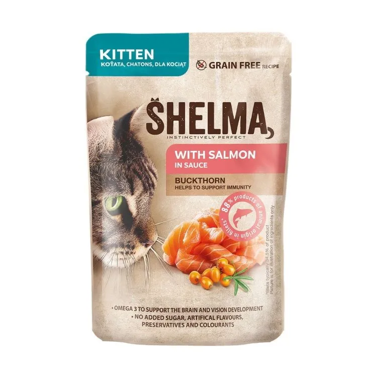 SHELMA Kitten with salmon in sauce - šlapias kačių maistas - 85g