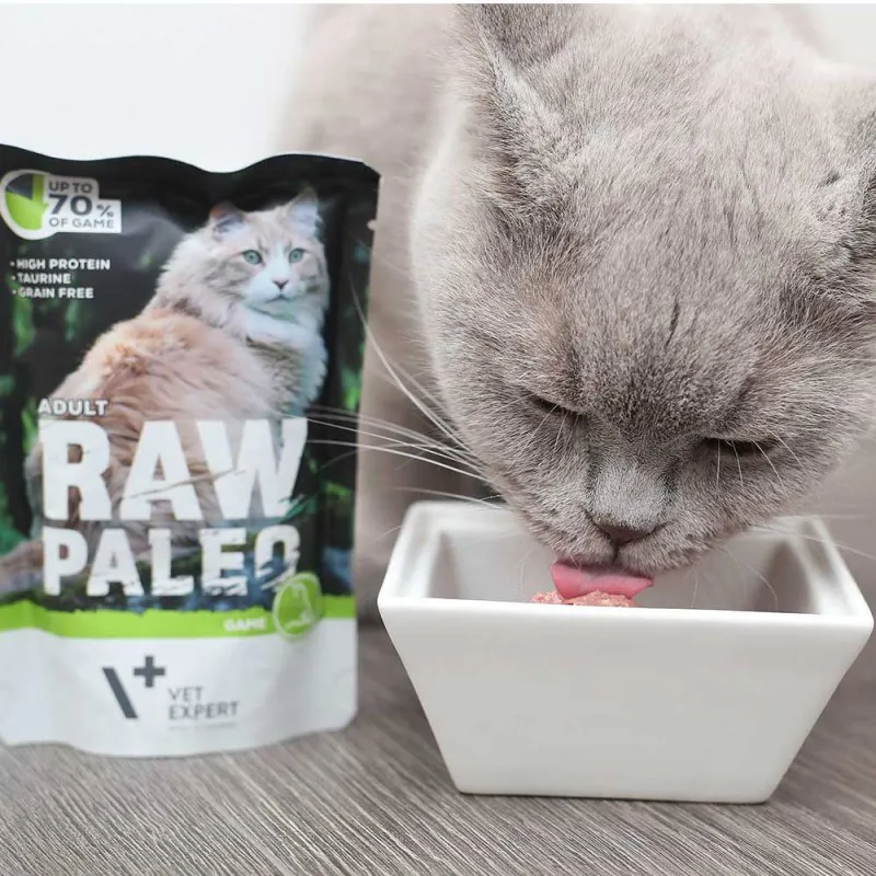 VETEXPERT Raw Paleo Adult Cat Elniena - šlapias kačių maistas - 100 g