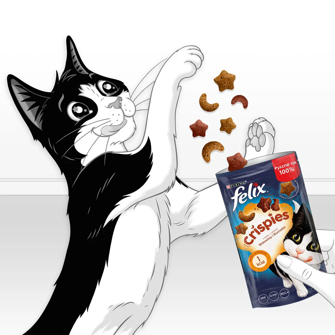 FELIX Crispies Beef, Chicken - sausas kačių ėdalas - 45 g