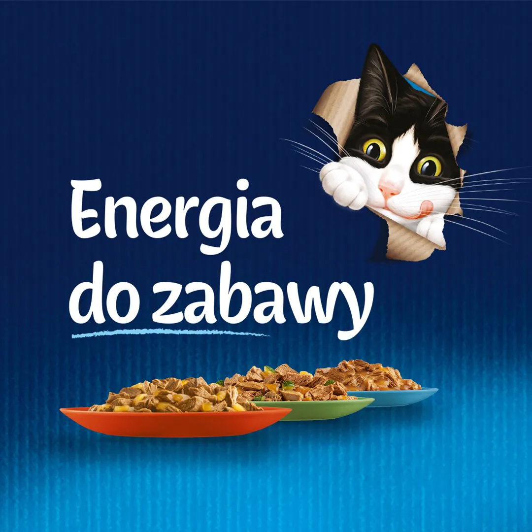 Purina Felix Sensations Mix Turkey, Mackerel, Lamb, Herring - drėgnas kačių maistas - 12x85 g