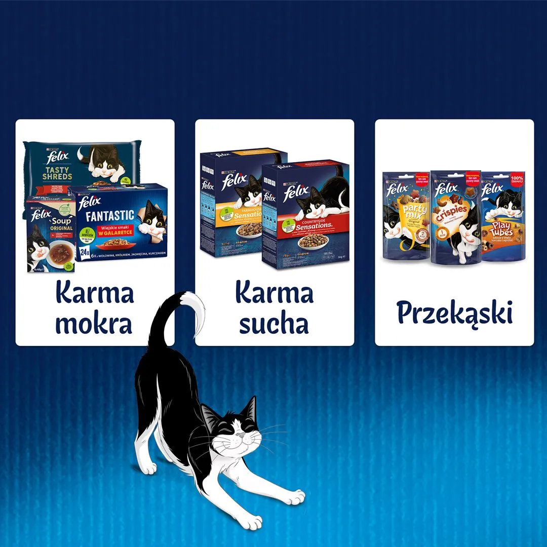 Felix Fanstastic vištiena, pomidorai - drėgnas kačių maistas - 85 g