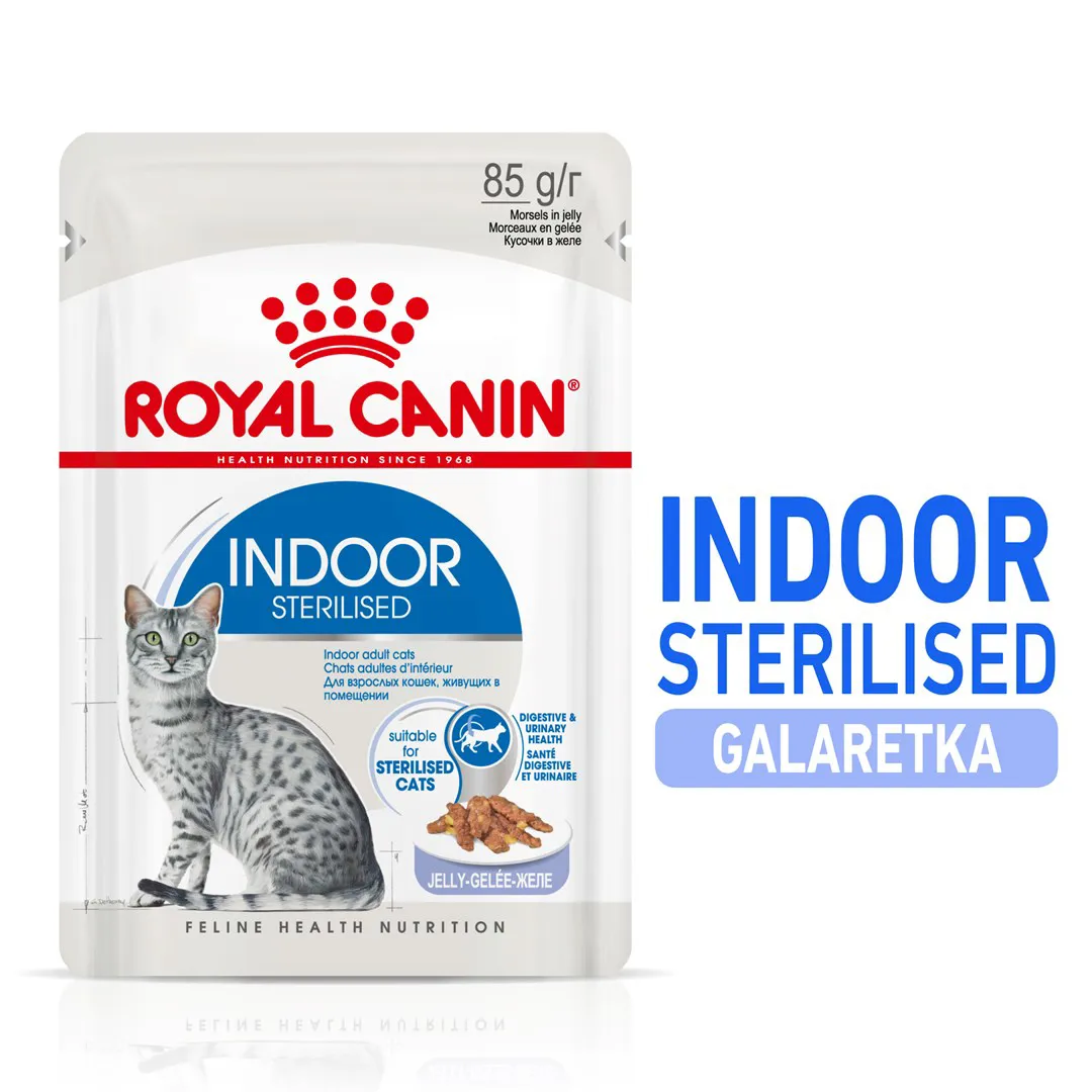 ROYAL CANIN FHN Indoor jelly - drėgnas ėdalas suaugusioms katėms - 12x85g