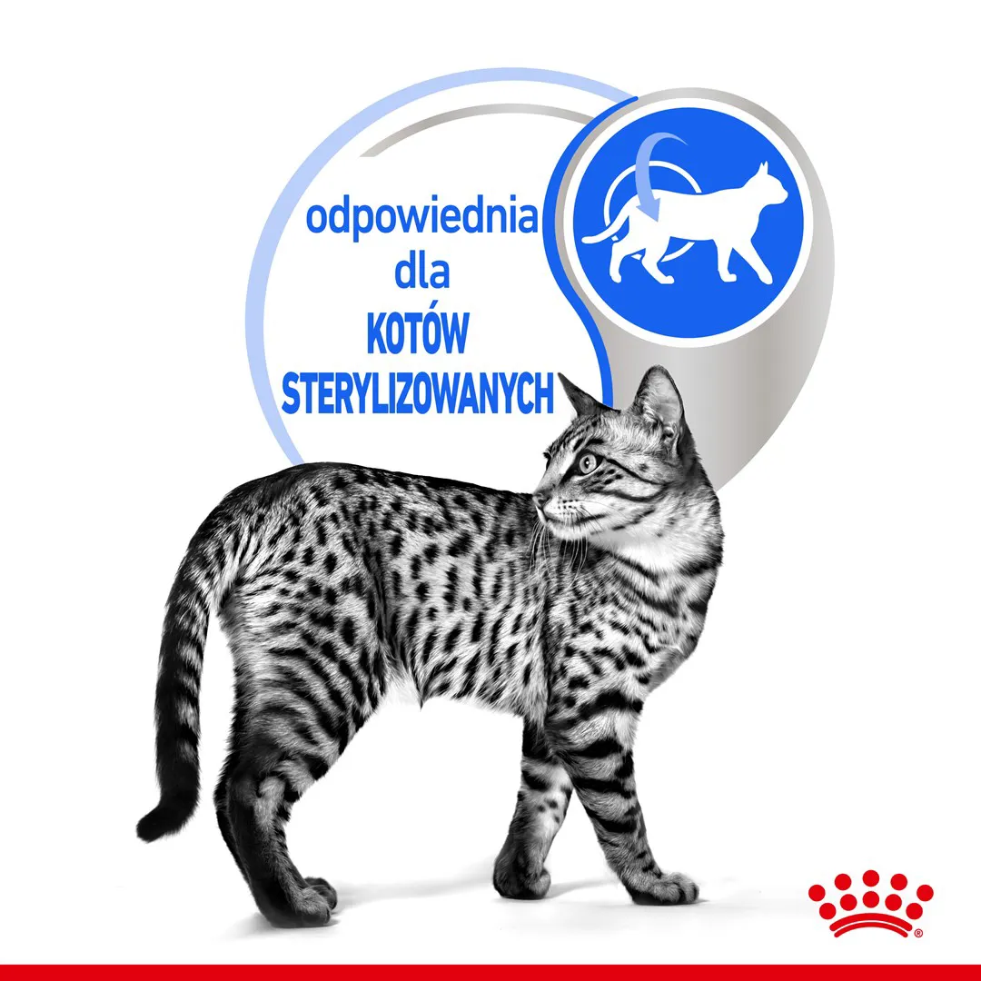 ROYAL CANIN Indoor Sterilized - Šlapias kačių maistas - Gabalėliai padaže 12x85 g