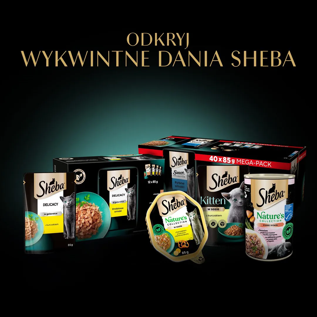SHEBA Delikatesas paukštienos skonio želė - drėgnas kačių maistas - 80x 85 g