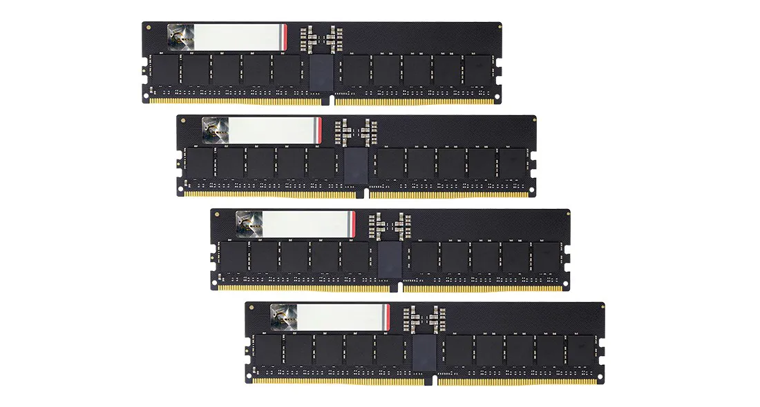 G.Skill Aegis 5 F5-6000R3036G48GQ4-G5N atminties modulis 192 GB 4 x 48 GB DDR5 6000 MT/s 288-pin DIMM ECC