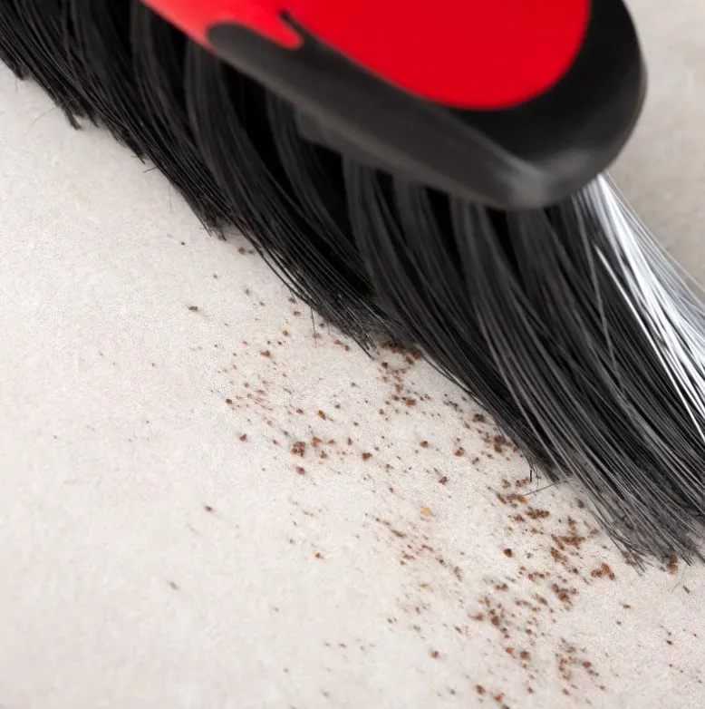 Vileda Classica 2-in-1 universalus šepetys